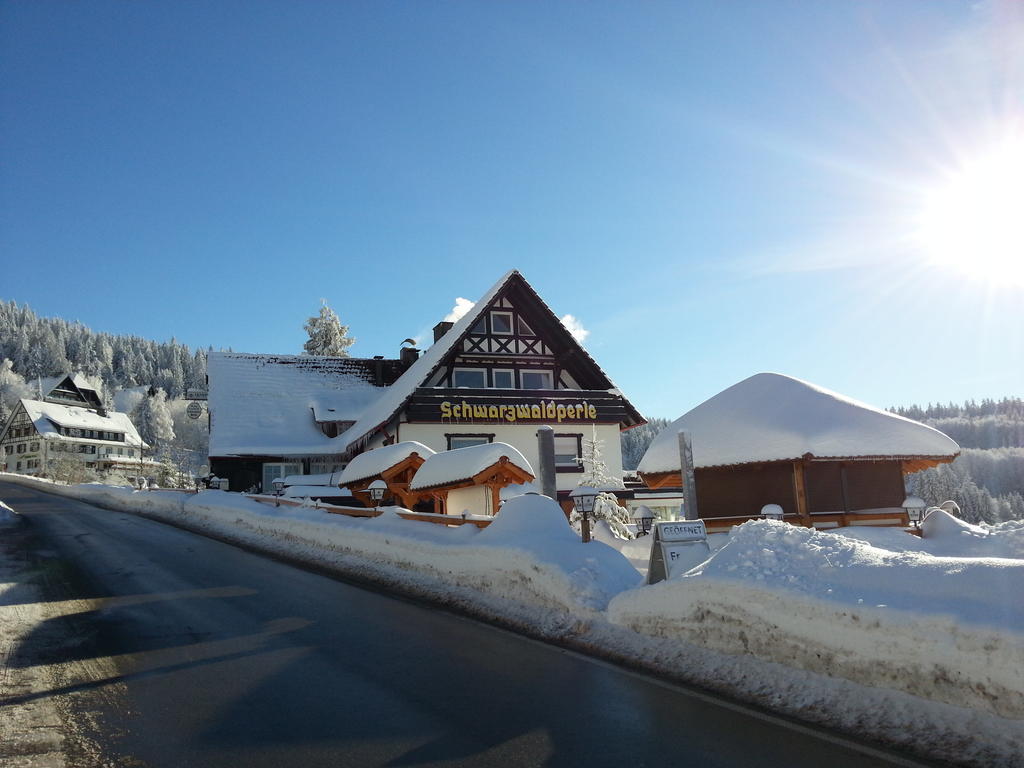 Hotel-Berggasthof Schwarzwaldperle Засбахвальден Екстер'єр фото