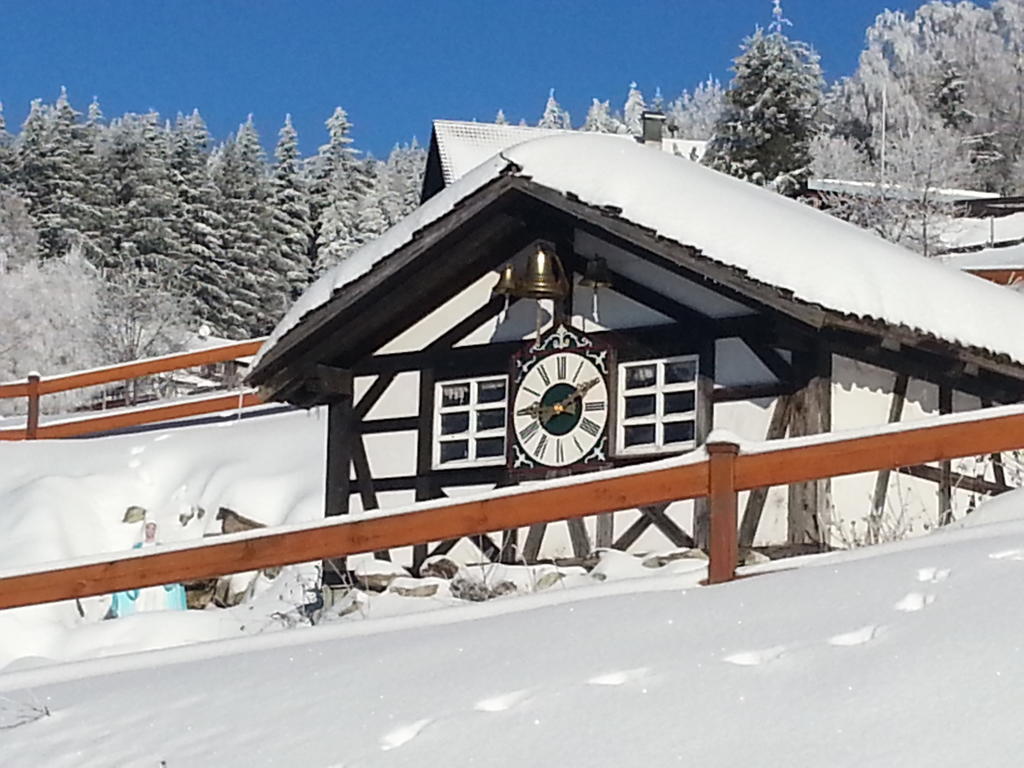 Hotel-Berggasthof Schwarzwaldperle Засбахвальден Екстер'єр фото