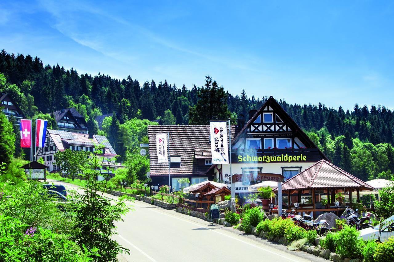 Hotel-Berggasthof Schwarzwaldperle Засбахвальден Екстер'єр фото