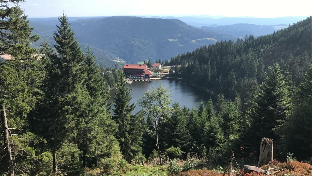 Hotel-Berggasthof Schwarzwaldperle Засбахвальден Екстер'єр фото